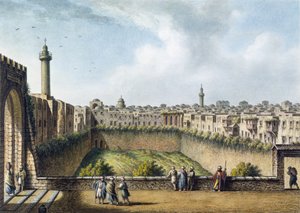 贝塞斯达池，耶路撒冷，酒吧。作者：William Watts，1801 作者 路易吉·梅耶（Luigi Mayer）